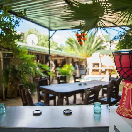 Tsumeb Backpackers & Safari 호스텔 외부 사진